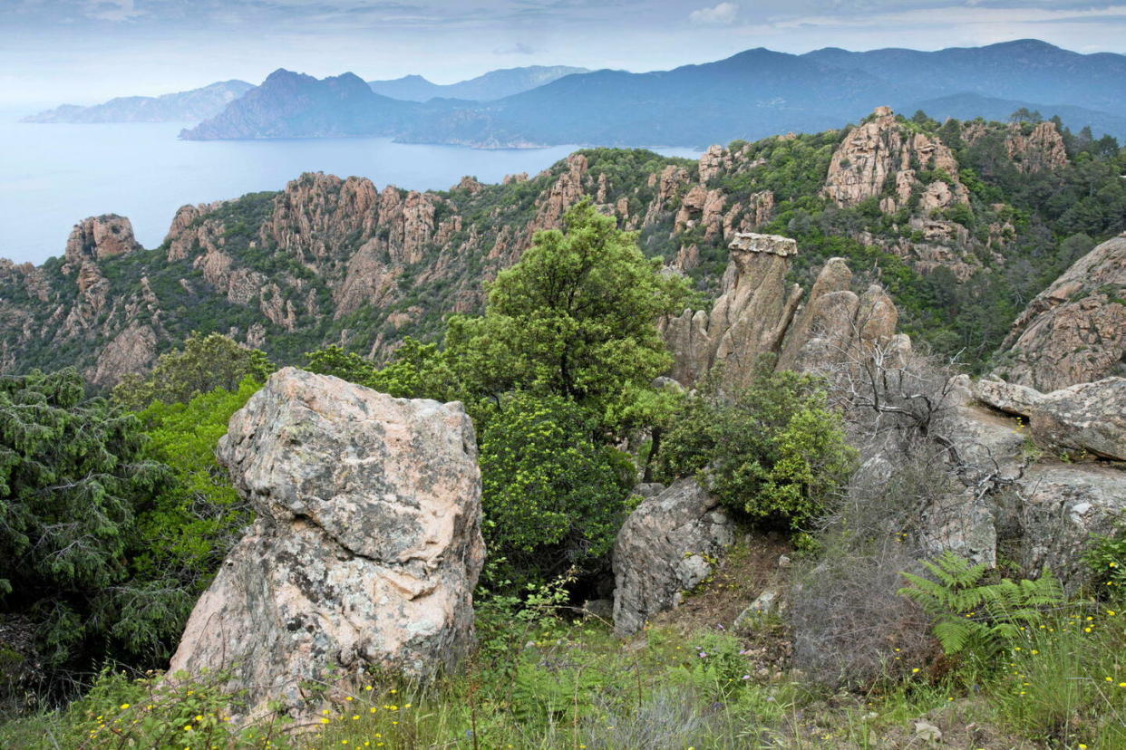 Les calanques de Piana, en Corse : un site naturel unique, à pic dans la mer turquoise, inscrit depuis 1983 au patrimoine mondial de l’humanité, qui s’admire comme une œuvre d’art naturelle.  - Credit:imageBROKER.com/SIPA / SIPA / imageBROKER.com/SIPA