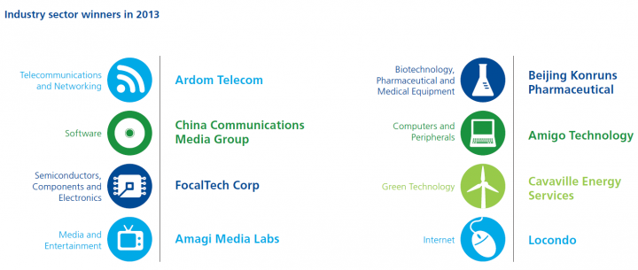 deloitte industry sector winners