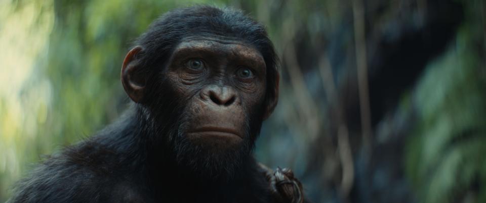 Noa (Owen Teague) in "Kingdom of the Planet of the Apes," which will release in May.