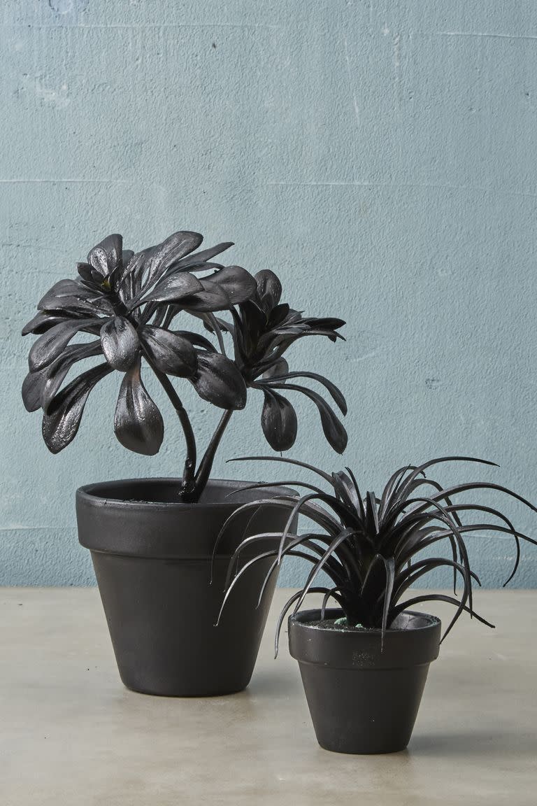 <p>In the days leading up to Halloween, swap the healthy potted plants on your front porch for fake ones spray painted black. </p><p><a class="link " href="https://www.amazon.com/CEWOR-Artificial-Greenery-Eucalyptus-Centerpiece/dp/B08RMQG8NP/ref=sr_1_6?tag=syn-yahoo-20&ascsubtag=%5Bartid%7C10055.g.4602%5Bsrc%7Cyahoo-us" rel="nofollow noopener" target="_blank" data-ylk="slk:SHOP FAKE PLANTS;elm:context_link;itc:0;sec:content-canvas">SHOP FAKE PLANTS</a> </p>