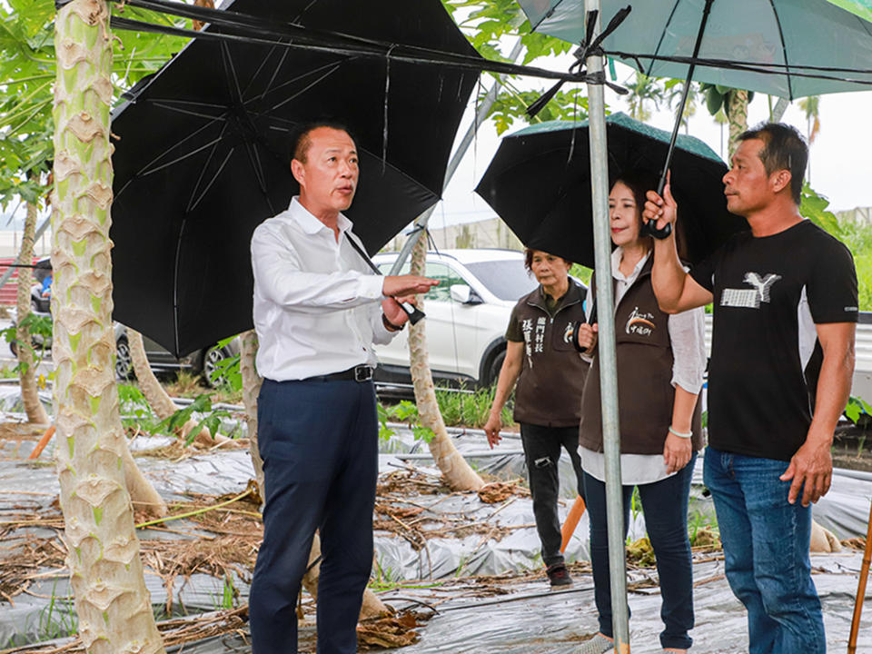 縣長翁章梁會同中埔鄉長李碧雲至木瓜園視察農民防颱措施。（記者張翔攝）