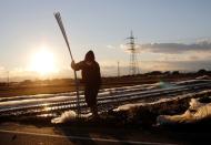 The Wider Image: The man who saves forgotten cats in Fukushima's nuclear zone