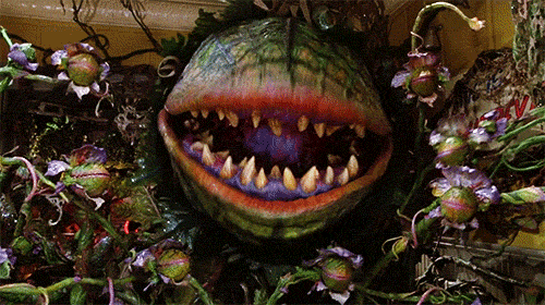 MVPs of Horror: The 'Little Shop of Horrors' Puppet Master Who Brought the Blood-Thirsty Plant Life