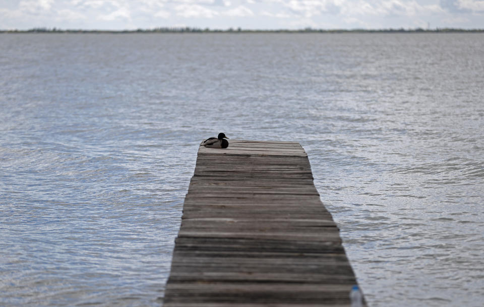 A duck sits on a pier on Lake Balaton in Szigliget, Hungary on May 18, 2021. Lake Balaton is the largest lake in Central Europe and one of Hungary's most cherished natural treasures. But some worry that the lake's fragile ecosystem and the idyllic atmosphere of the quaint villages dotted along its banks are in danger because of speculative developments. (AP Photo/Laszlo Balogh)