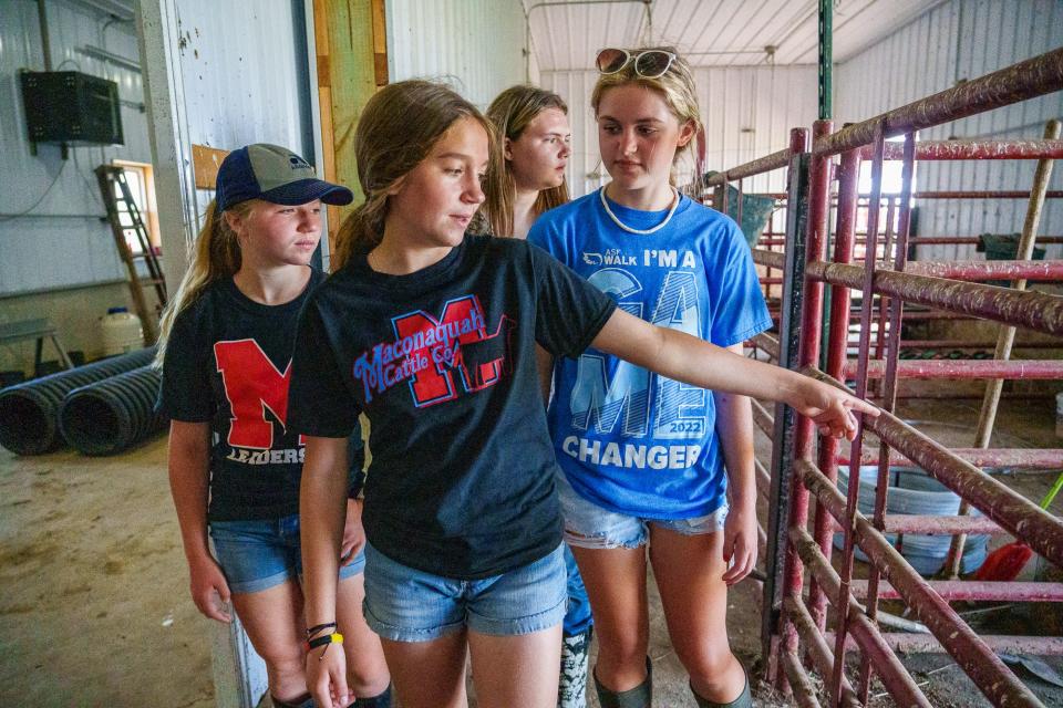 As part of her school's farm-to-school program 'Maconaquah Cattle Company,' Anna Lorenz, an 8th grade student at Maconaquah Middle School, points out Tuesday, May 31, 2022, different tasks students complete while inside a small barn on Maconaquah School Corporation's campus. There's always something to accomplish, she said. Tasks take a back seat to the other experiences students get to experience working with cattle as part of the program. "It was pretty cool to see the calves be born," she said. "It was during one of my classes so I got to watch."