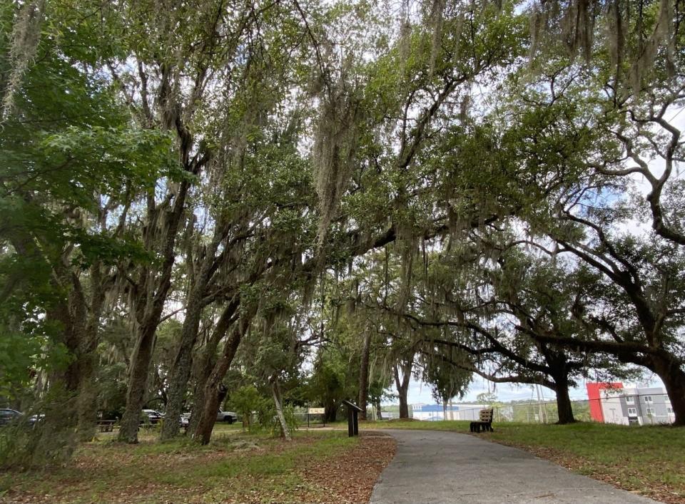 Spanish moss hangs from live oaks next to the Jackson Guard Natural Resources Office.