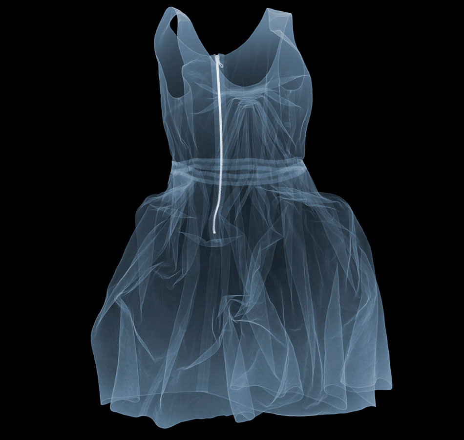 Fascinating X-ray photographs by Nick Veasey svkg 210612