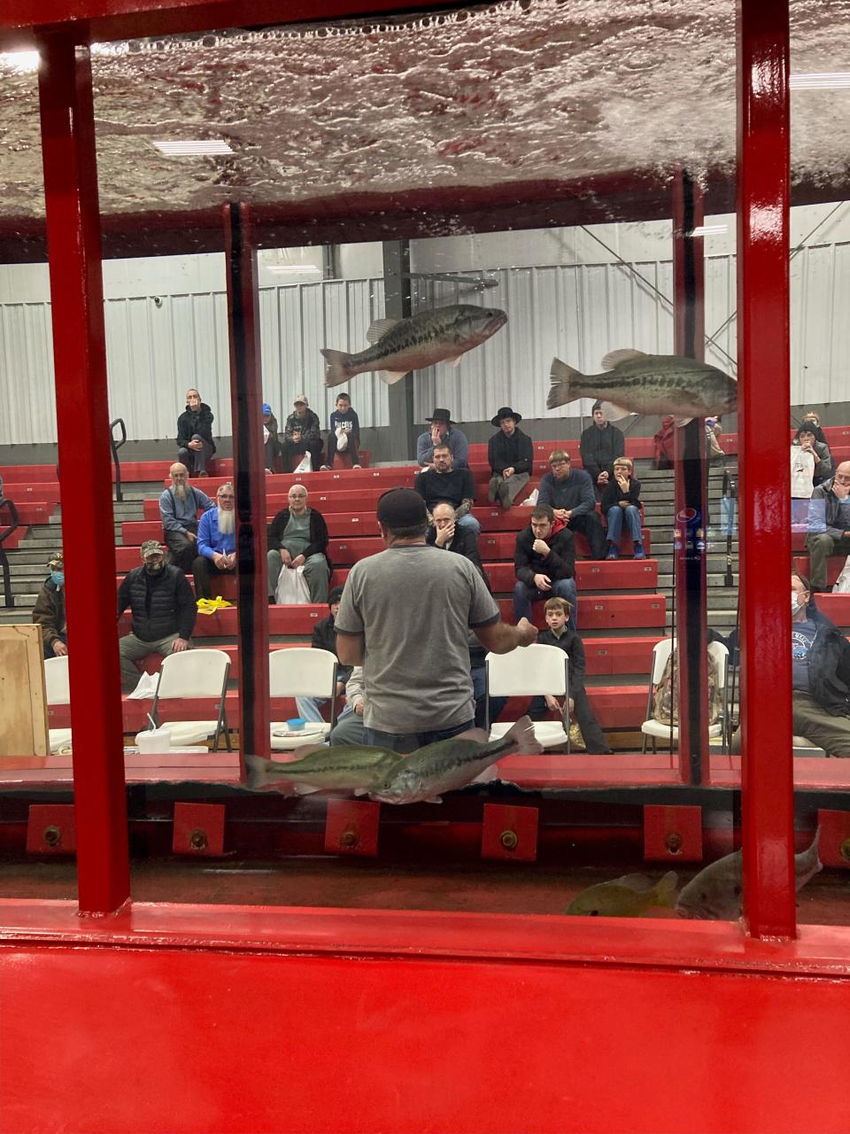 This photo, looking through the Hawg Trough fish tank at the Northeast Ohio Sportsman Show, shows Doug Stewart during his seminar on crappie fishing.