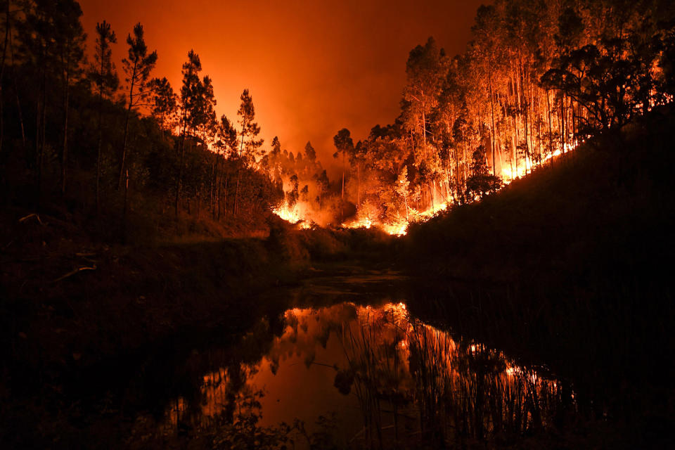 <p>Fire is reflected in a stream at Penela, Coimbra, central Portugal, on June 18, 2017. At least 62 people have been killed in forest fires in central Portugal, many of them trapped in their cars as flames swept over a road Saturday evening. (Patricia De Melo Moreira/AFP/Getty Images) </p>