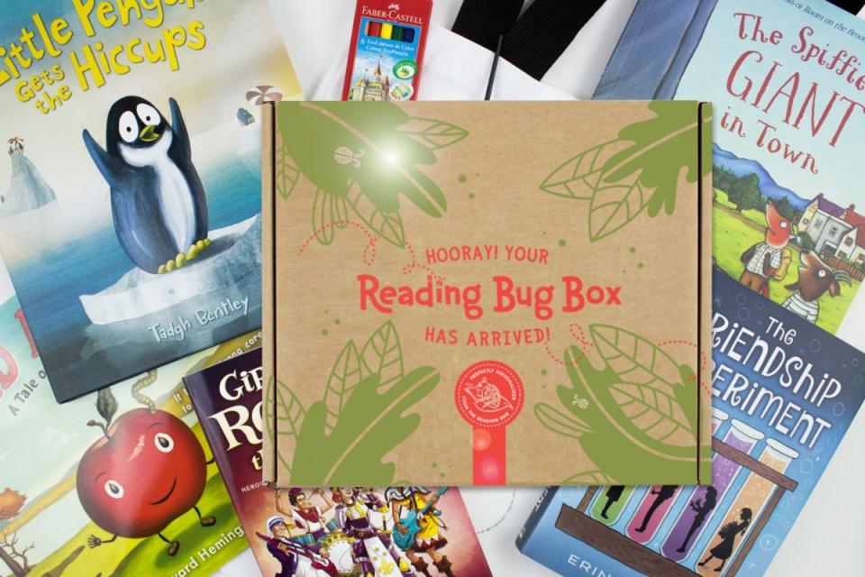 29) Reading Bug Box