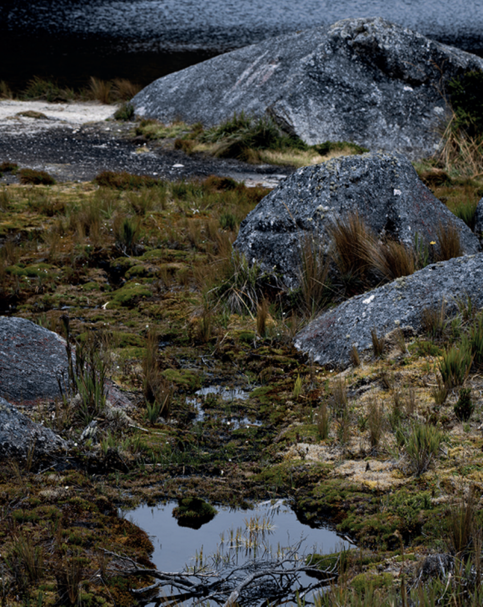 The lagoon where the carnivorous plants were found.