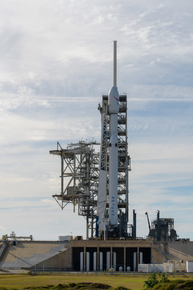 SpaceX Falcon Heavy on pad