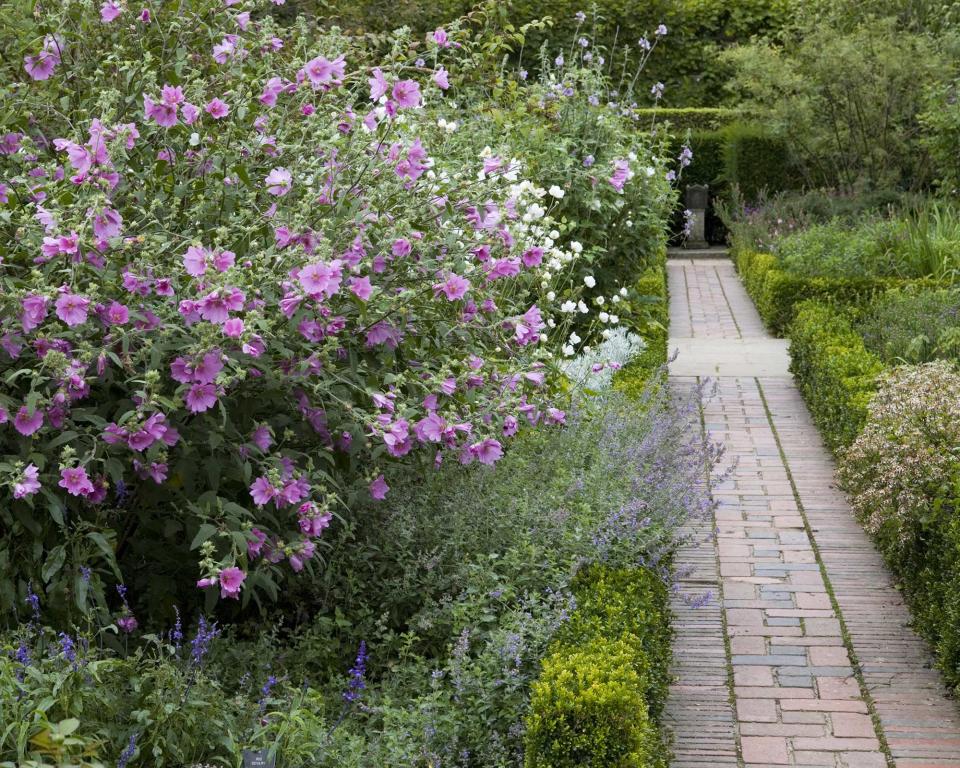 3. Pretty up pathways with flowering shrubs