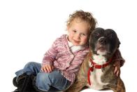 <p>They can be loyal loving and gentle around kids.</p>