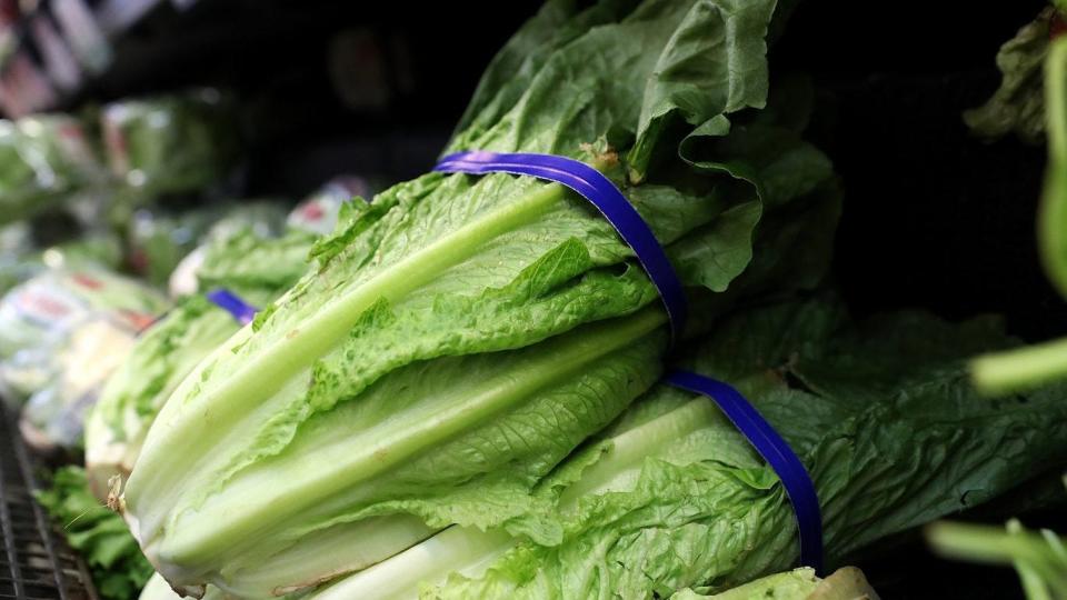 Romaine is the most nutrient-dense lettuce option to include in your daily diet.