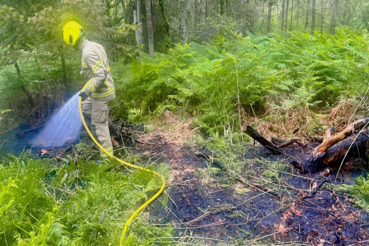 Part of Brandon Country Park damaged in a fire <i>(Image: Brandon Fire Station)</i>