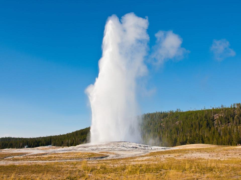 Old Faithful in Yellowstone