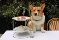 <p>Nestled in London’s iconic Grosvenor Square, The Biltmore is a Mayfair institution. To celebrate HRH’s Platinum Jubilee in style, the hotel has laid on a feast of charming events. Chief among them is a special corgi afternoon tea on Friday 27 May, at which your furry friends (corgis are encouraged but not mandatory) are the VIPs of the day. Tea will be served on the hotel’s beautiful terrace, and there will be special dog-friendly offerings from The Barking Bakery. This is followed by, on the Thursday and Friday of the jubilee weekend, a street party served up by Café Biltmore, featuring live entertainment, an all-day BBQ and, naturally a Pimm's trolley. You may then spend Saturday and Sunday recovering, with their royal afternoon tea, accompanied by live entertainment and (why not?) a few sips from the champagne trolley…</p><p><strong><a href="https://www.hilton.com/en/hotels/longsol-the-biltmore-mayfair-london/?WT.mc_id=LADA0EMEA1HI2PSH3GGL4INTBPP5dkt6CTYHOCN7en_&gclid=CjwKCAjwj42UBhAAEiwACIhADi37nVGJ-VNYKQ7j3pxDiAtDsRfZ5sM9HCI1iLoXaqA2OTjYy-FX2BoCt34QAvD_BwE&gclsrc=aw.ds" rel="nofollow noopener" target="_blank" data-ylk="slk:The Biltmore;elm:context_link;itc:0;sec:content-canvas" class="link ">The Biltmore</a>, 44 Grosvenor Square, London W1K 2HP</strong></p>