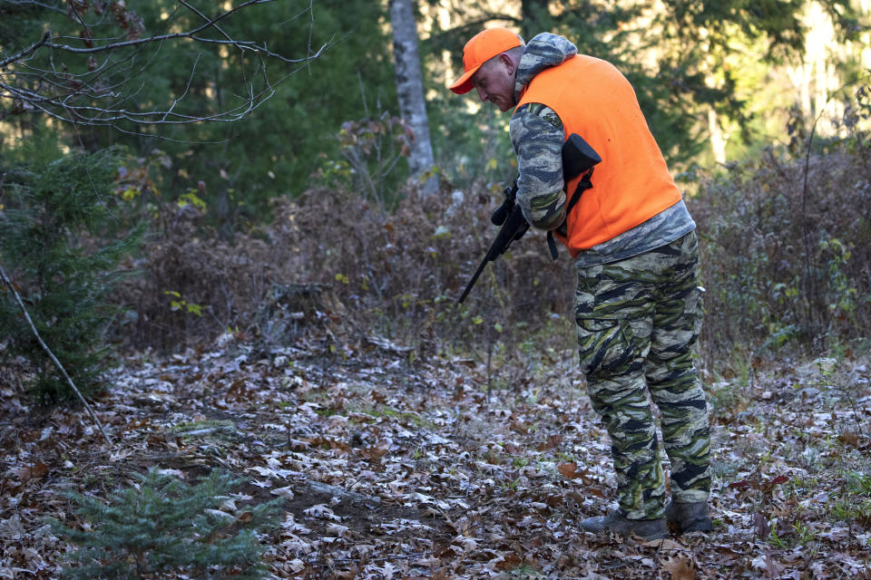 Jared Bornstein examines ground scratched by deer while hunting Saturday, Nov. 11, 2023, in Turner, Maine. (AP Photo/Robert F. Bukaty)