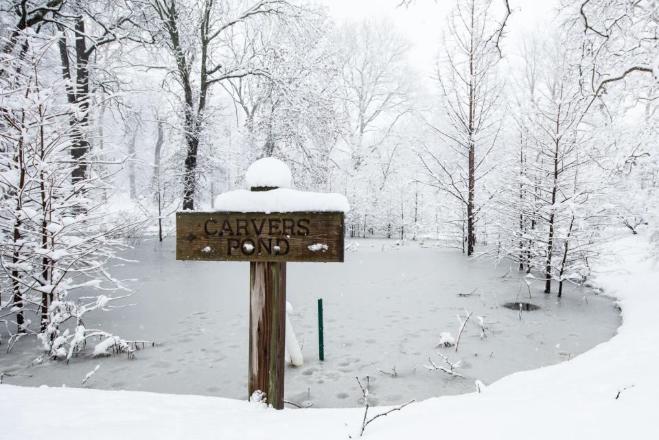 Snow covers tree branches around Carvers Pond at Delaware Valley University, in New Britain Borough, during a snow storm Tuesday, February, 13, 2024.