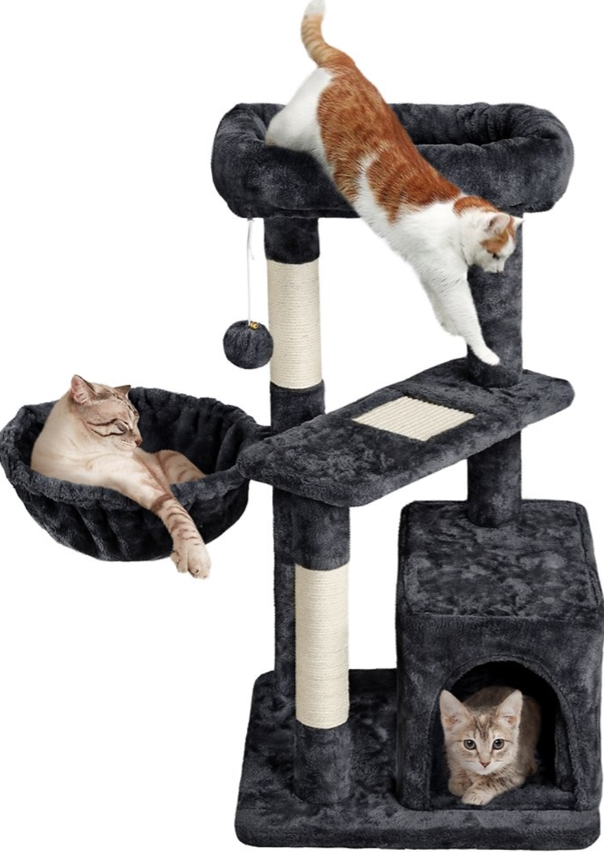 cat tree