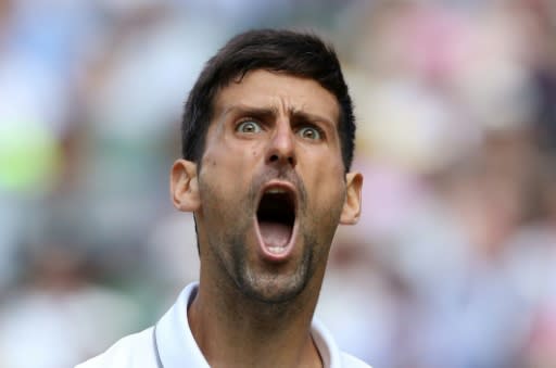 Divides opinion: Novak Djokovic