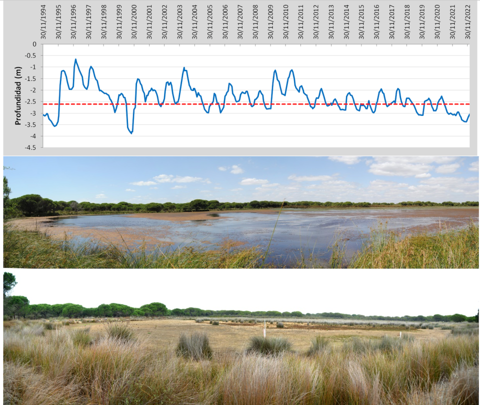 Above: values of the piezometer located next to the Zahillo pond. The red line marks the bottom of the pond. Until 2011, there were years when the pond did not dry up in summer. Since 2012, the pond has not reached the previous maximum levels, and only two separate small areas inside the basin are flooded. Below: photos of the Zahillo pond in June 2011 and October 2022. Author provided