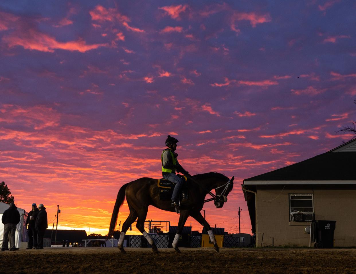 A horse and rider leave the track as the rising sun illuminates the clouds at dawn on the backside of Churchill Downs.