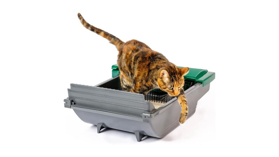 Best Self Cleaning Litter Boxes