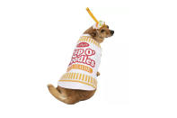 <p>The Soup of the Day has never looked so sweet. </p> <p><strong>Buy it!</strong> Pup O' Noodles Costume for Dogs, $20.00; <a href="https://www.partycity.com/pup-o-noodles-costume-for-dogs-P923323.html" rel="nofollow noopener" target="_blank" data-ylk="slk:PartyCity.com;elm:context_link;itc:0;sec:content-canvas" class="link ">PartyCity.com</a></p>