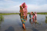 Rohingya refugees who crossed the border from Myanmar a day before, wash themselves in a rice field as they wait to receive permission from the Bangladeshi army to continue their way to the refugee camps, in Palang Khali, Bangladesh October 17, 2017. REUTERS/Jorge Silva