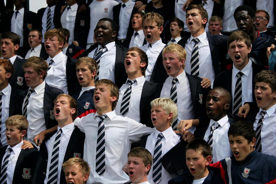 Boys watching a sporting match cheering.