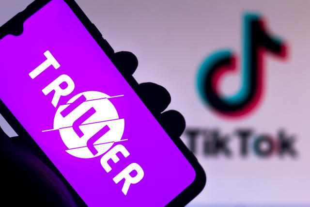 TikTok's biggest hits are videos you've probably never seen - The Verge