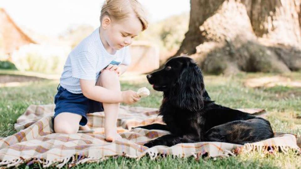 Prince George. Photo: Instagram.