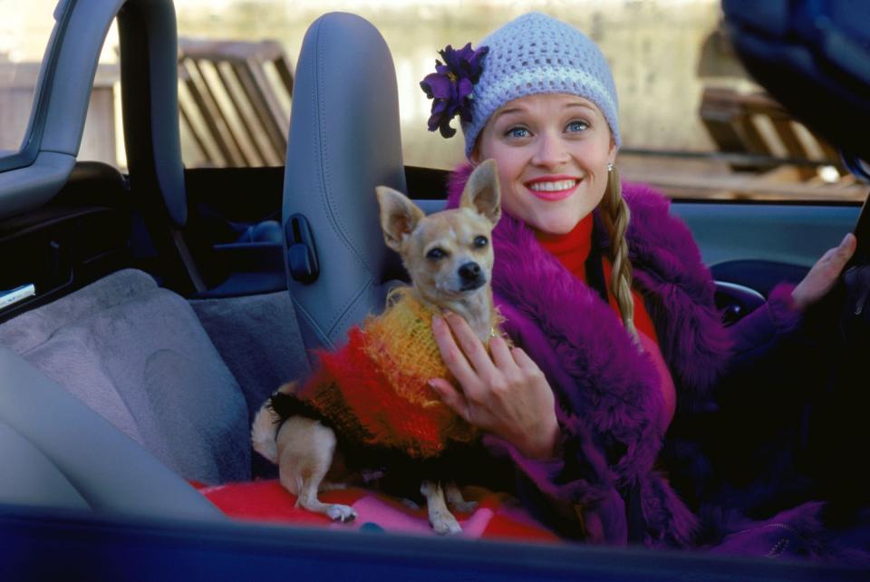 <em>Legally Blonde</em> (2001)