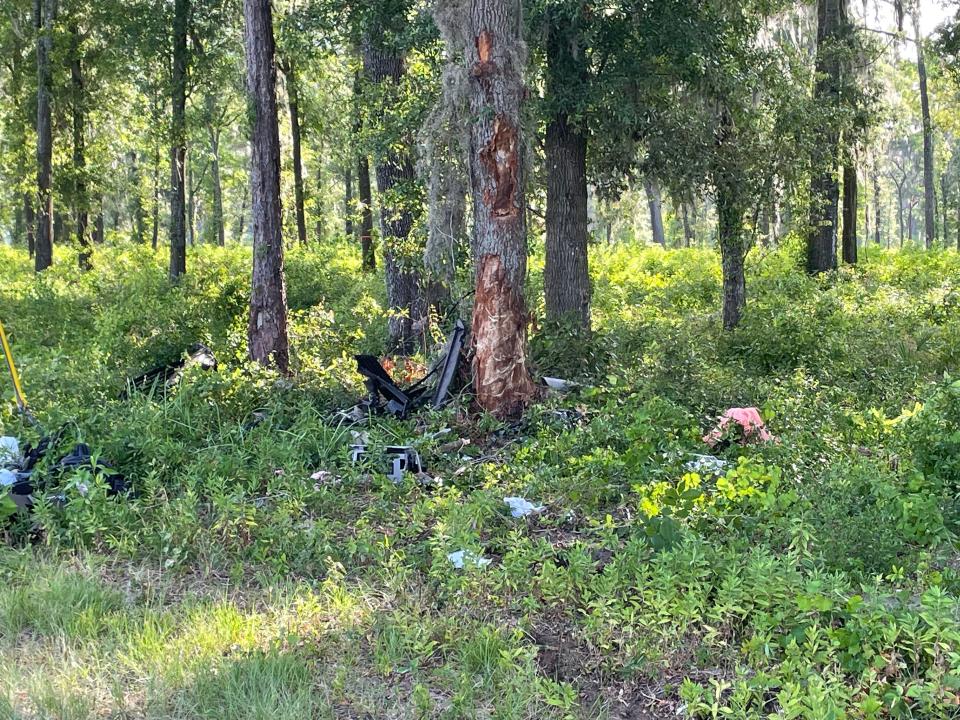 Troopers said a VW Jetta struck this tree early Saturday morning, killing the driver.