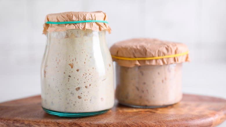 Sourdough starter