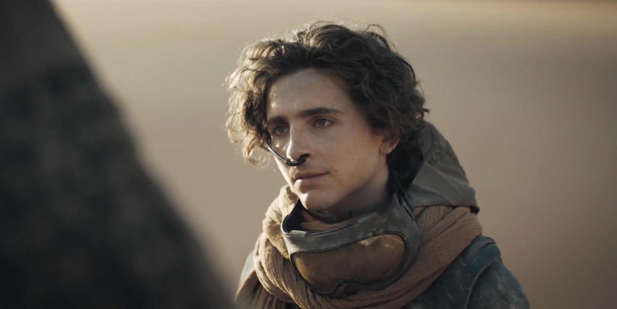 timothee chalamet, dune part two