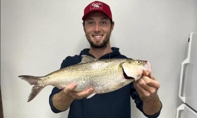 Extremely lucky' angler makes unexpected catch - Yahoo Sports