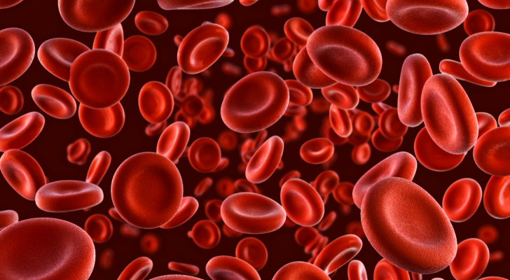 Red blood cells.