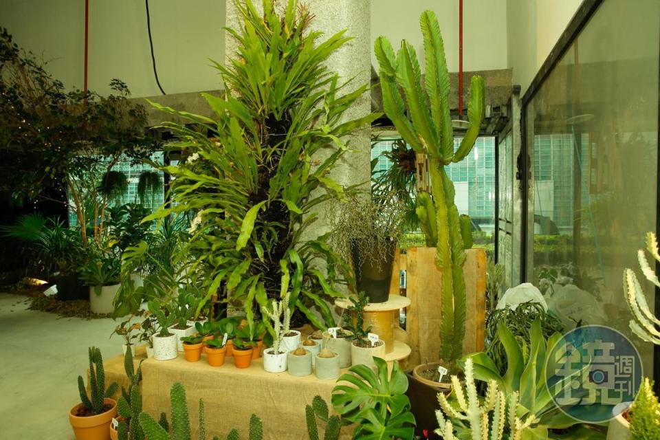 入口的「人間市集」旁佈滿植栽，現場也會販售手作商品。