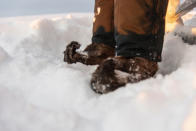 In this Wednesday, Nov. 27, 2019 photo, Niila Inga wears traditional Sami shoes made from the skin of reindeer, on Longastunturi mountain near Kiruna, Sweden. A collaboration between reindeer herders and scientists is attempting to shed light on dramatic weather changes and develop tools to better predict weather events and their impacts. Unusual weather patterns in Sweden’s arctic region seem to be jeopardising the migrating animals’ traditional grazing grounds, as rainfall during the winter has led to thick layers of snowy ice that block access to food. (AP Photo/Malin Moberg)