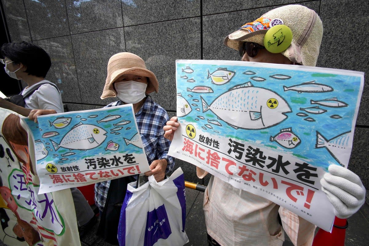 Protesters outside power company offices in Tokyo hold signs reading ‘Don’t throw radioactive contaminated water into the sea!’ (AFP via Getty)