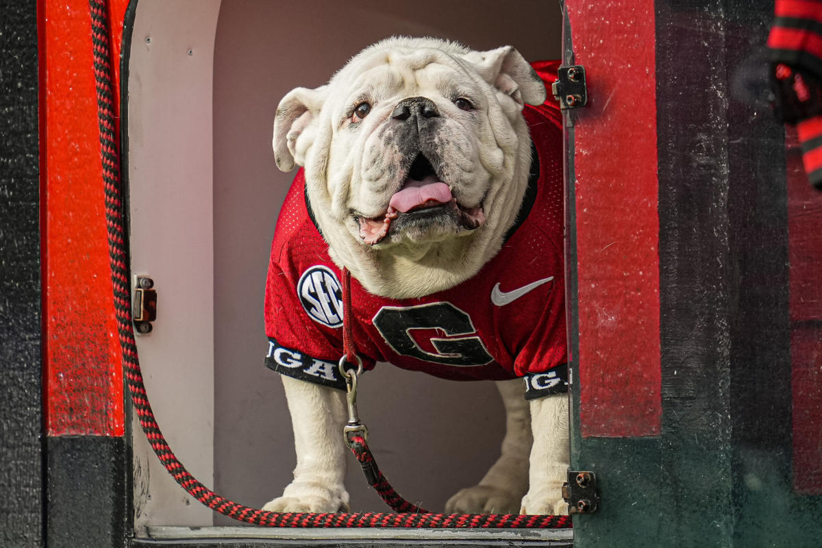 Uga XI, a puppy named Boom, was introduced at the Georgia spring game