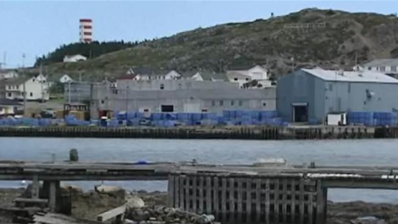 Cod, the saviour: Twillingate shrimp workers hope plant will reopen — at some point