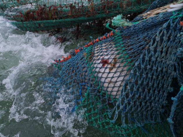 A German sea mine was safely detonated off the coast of the Isle of Wight after being picked up by a fishing net.The 7ft explosive, which dated back to the Second World War, was dredged up by a fishing vessel near Needles at about 8am on Saturday.Divers placed the device, which contained 2,000lb of explosive, back on the seabed before bomb disposal experts blew it up shortly before 11am on Sunday.HM Naval Base Portsmouth tweeted: “Our bomb disposal experts safely destroyed a 2,000lb German sea mine this morning near the Needles. “Dredged up yesterday by a fishing vessel the divers placed it back on the seabed and started Sunday with a BOOM Our heroes for keeping our waters safe.”Piers Stanbury, of the coastguard agency, said: “From what we can tell from the pictures and the information from the explosive ordnance disposal team, this is most likely an old German wartime sea mine.”Two years ago, a second world war bomb containing 290lb of “high explosives” found in Portsmouth harbour was towed out to sea and detonated.