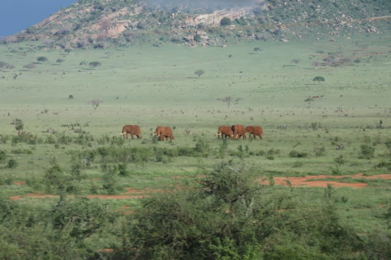 The Wider Image: Some Kenyans say Chinese-built railway leaves them in the dust