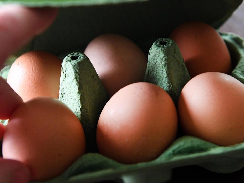 Eggs from a supermarket in London, Britain (EPA)