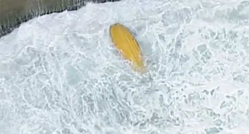 A boat deployed to assist the troubled swimmer flipped in the surf and threw the three rescuers into the water. Source: Nine News