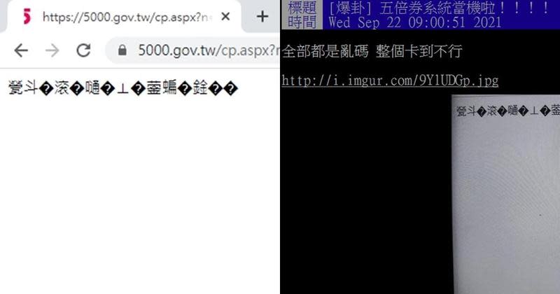 五倍券今日開放數位綁定，官網卻準時當機。（翻攝自五倍券官網、PTT）